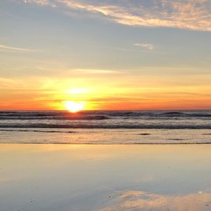 Meet your Posher, Riley